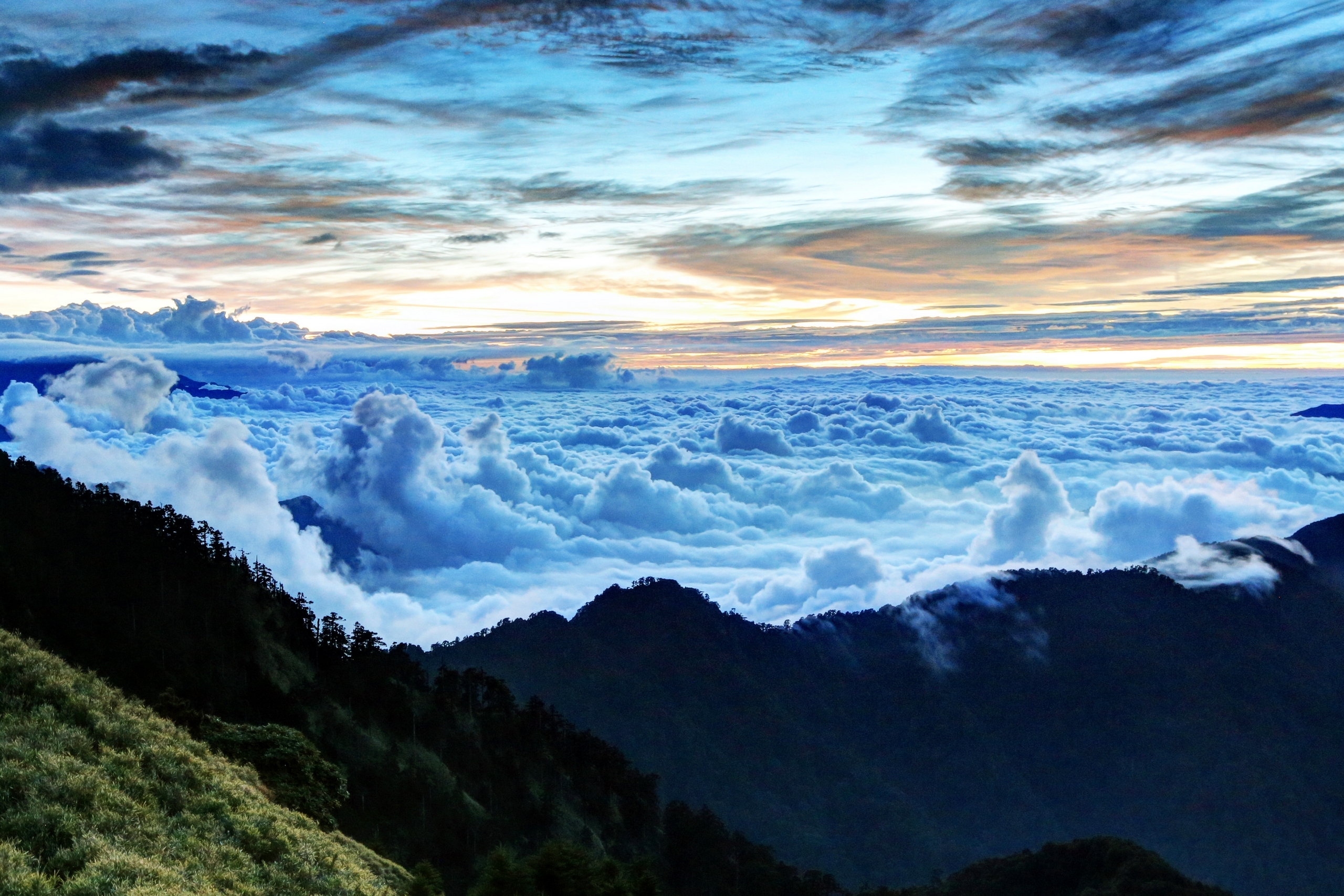 世界举重裁判评分透明化平台系统维护与升级通告，世界举重标准